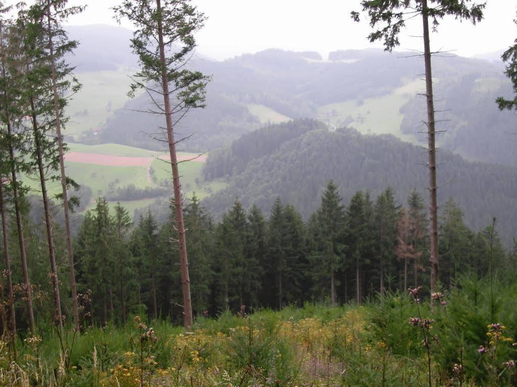 Gasthaus Ochsen Ξενοδοχείο Mühlenbach Εξωτερικό φωτογραφία